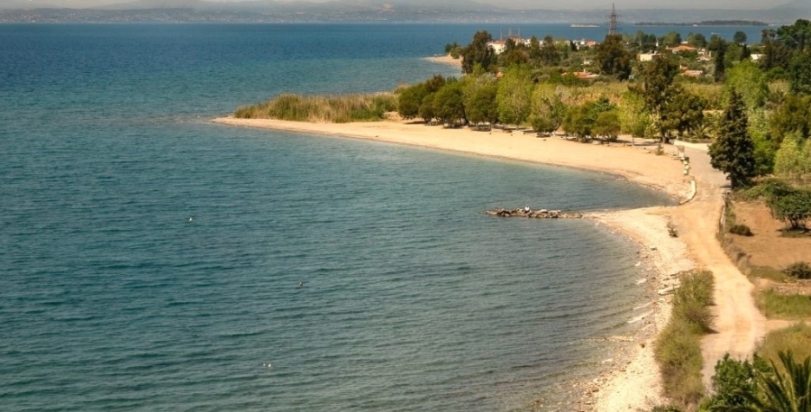 (Προς Πώληση) Αξιοποιήσιμη Γη Οικόπεδο εντός οικισμού || Ν. Εύβοιας/Αμάρυνθος  - 12 τ.μ, 1.100.000€ 
