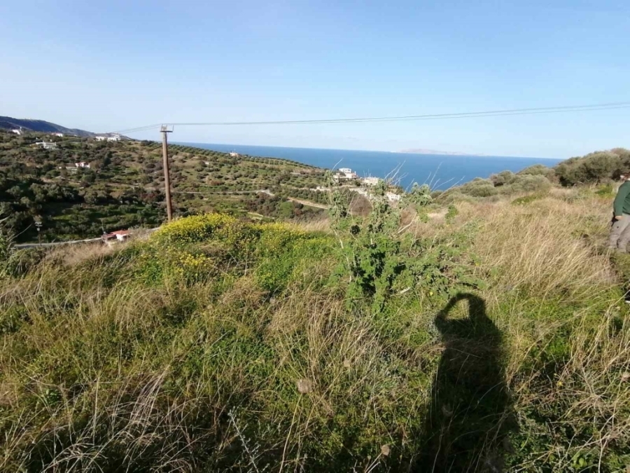 (Προς Πώληση) Αξιοποιήσιμη Γη Οικόπεδο || Ν. Ηρακλείου/Γάζιο - 8.872 τ.μ, 200.000€ 