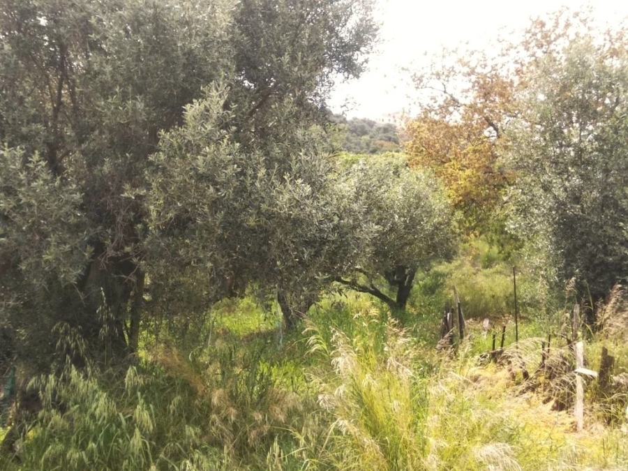 (Προς Πώληση) Αξιοποιήσιμη Γη Οικόπεδο εντός οικισμού || Ν. Ηρακλείου/Γάζιο - 1.550 τ.μ, 135.000€ 
