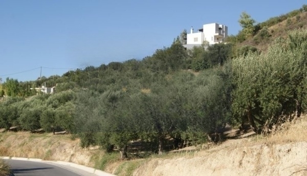 (Προς Πώληση) Αξιοποιήσιμη Γη Οικόπεδο || Ν. Ηρακλείου/Τέμενος - 2.086 τ.μ, 60.000€ 