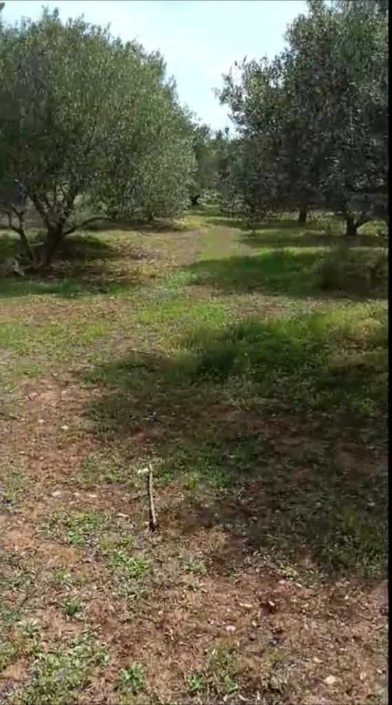 (Προς Πώληση) Αξιοποιήσιμη Γη Οικόπεδο εντός σχεδίου || Ν. Ηρακλείου/Γούβες - 810 τ.μ, 45.000€ 