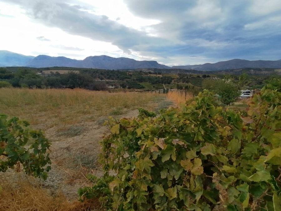 (Продажа) Земли Участок в населенном пункте || Н.Ираклион/Ираклио - 1.600 кв.м, 120.000€ 