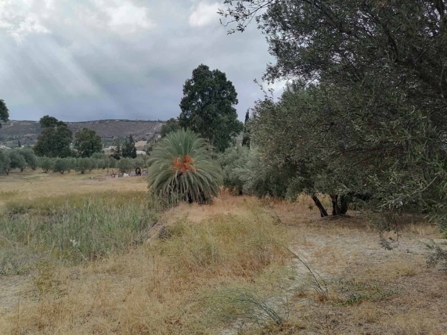 (Продажа) Земли Участок в населенном пункте || Н.Ираклион/Теменос - 8.000 кв.м, 1.200.000€ 