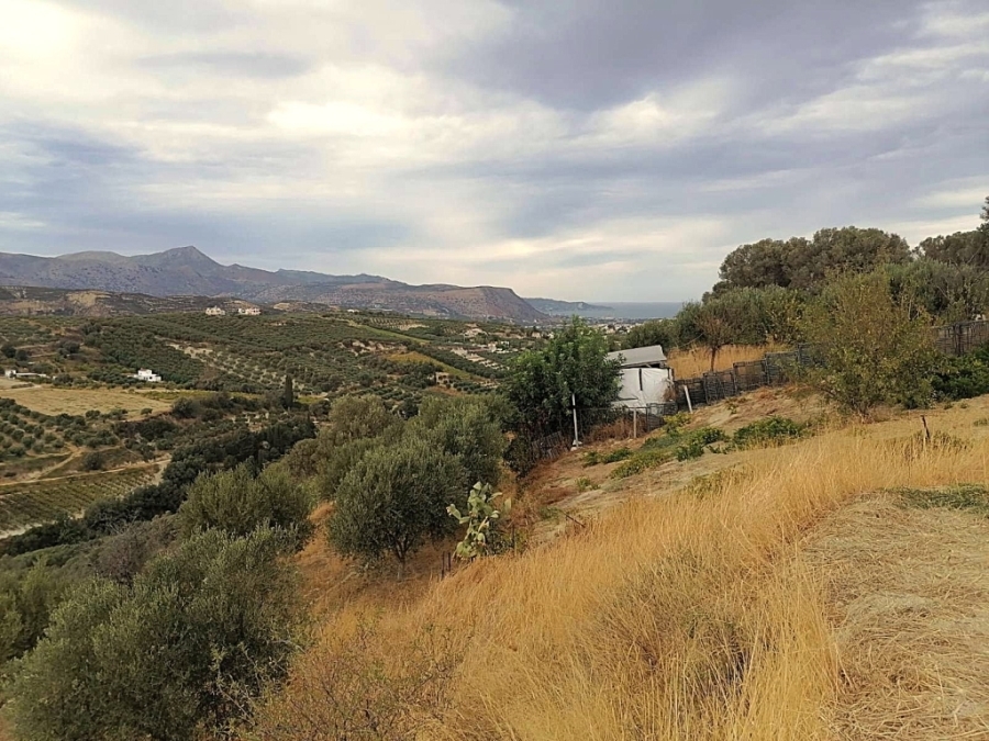 (For Sale) Land Plot || Irakleio/Archanes - 3.101 Sq.m, 320.000€ 