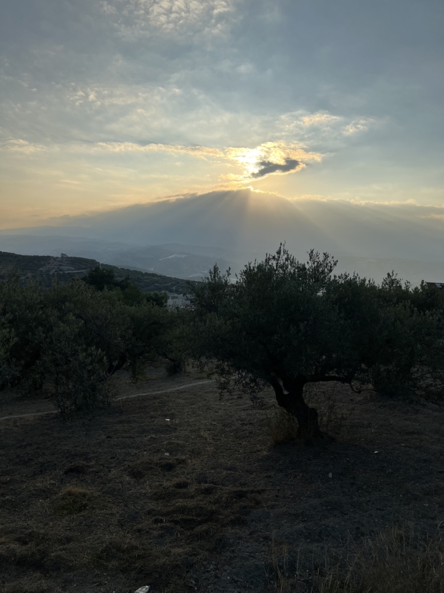 (Προς Πώληση) Αξιοποιήσιμη Γη Αγροτεμάχιο || Ν. Ηρακλείου/Ηράκλειο - 4.528 τ.μ, 130.000€ 