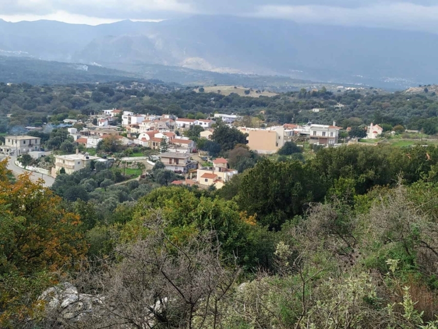 (Продажа) Земли Земельный участок || Н.Ретимно/Никифорос Фокас - 5.000 кв.м, 40.000€ 