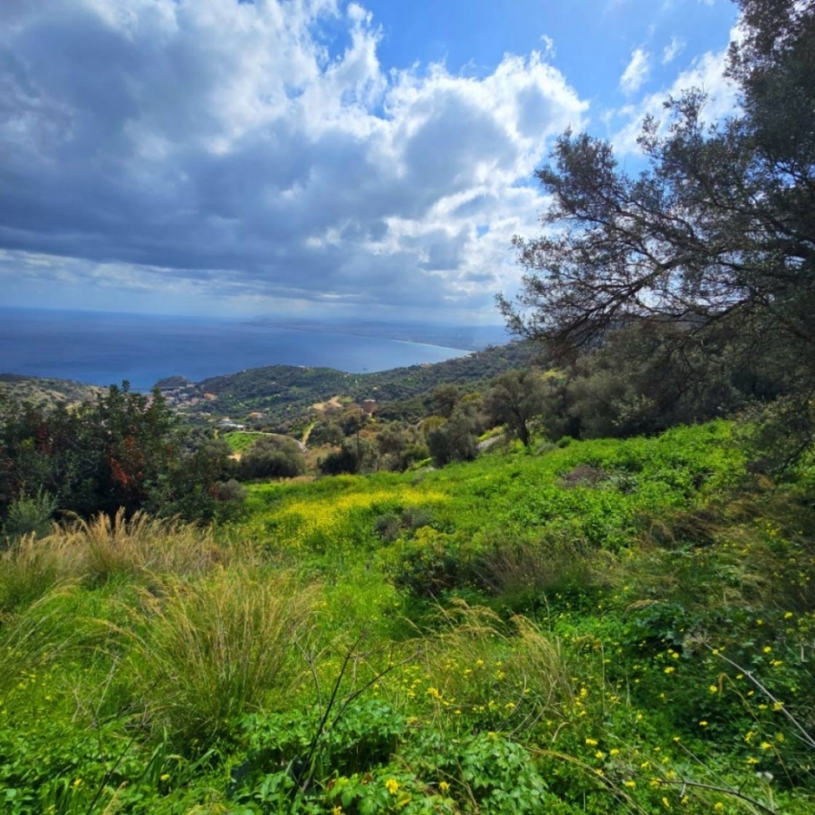 (Προς Πώληση) Αξιοποιήσιμη Γη Οικόπεδο εντός οικισμού || Ν. Ηρακλείου/Γάζιο - 1.254 τ.μ, 100.000€ 